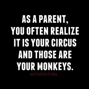 Meet your Posher, Larry